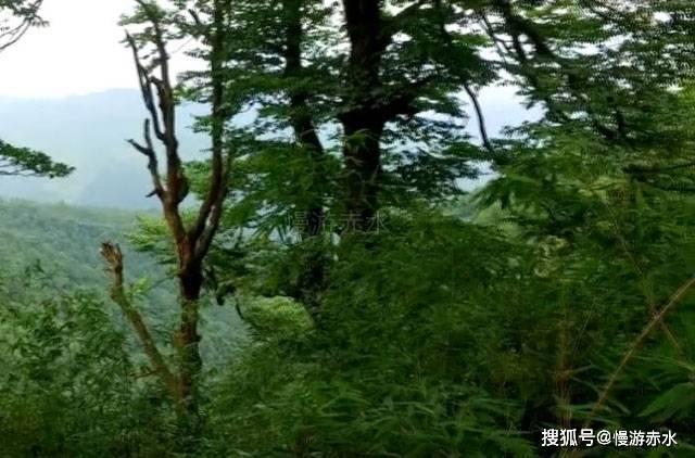 铠甲勇士大作战2