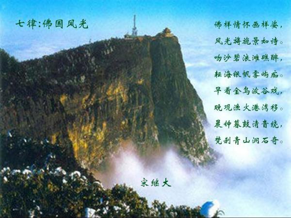 生化危机：浣熊市行动